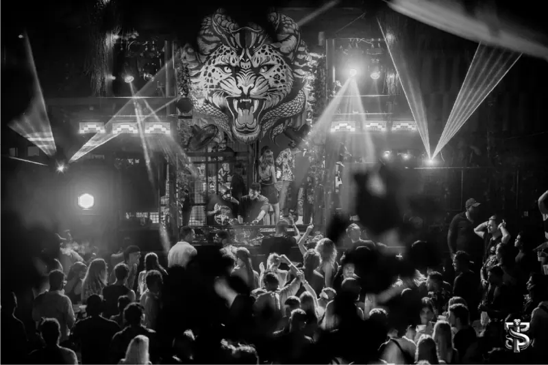 Jungle Nights Techno Session