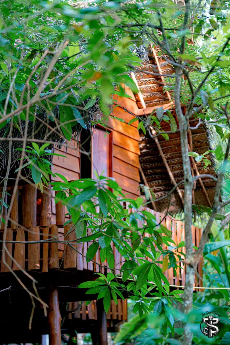The Secret Pearl Jungle Hostel in Weligama Sri Lanka