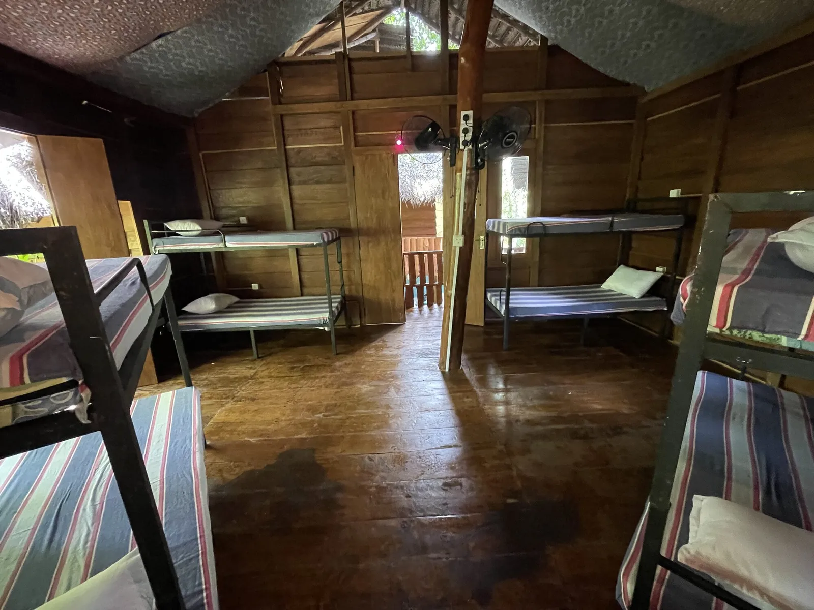 Shared dorm jungle hostel Weligama