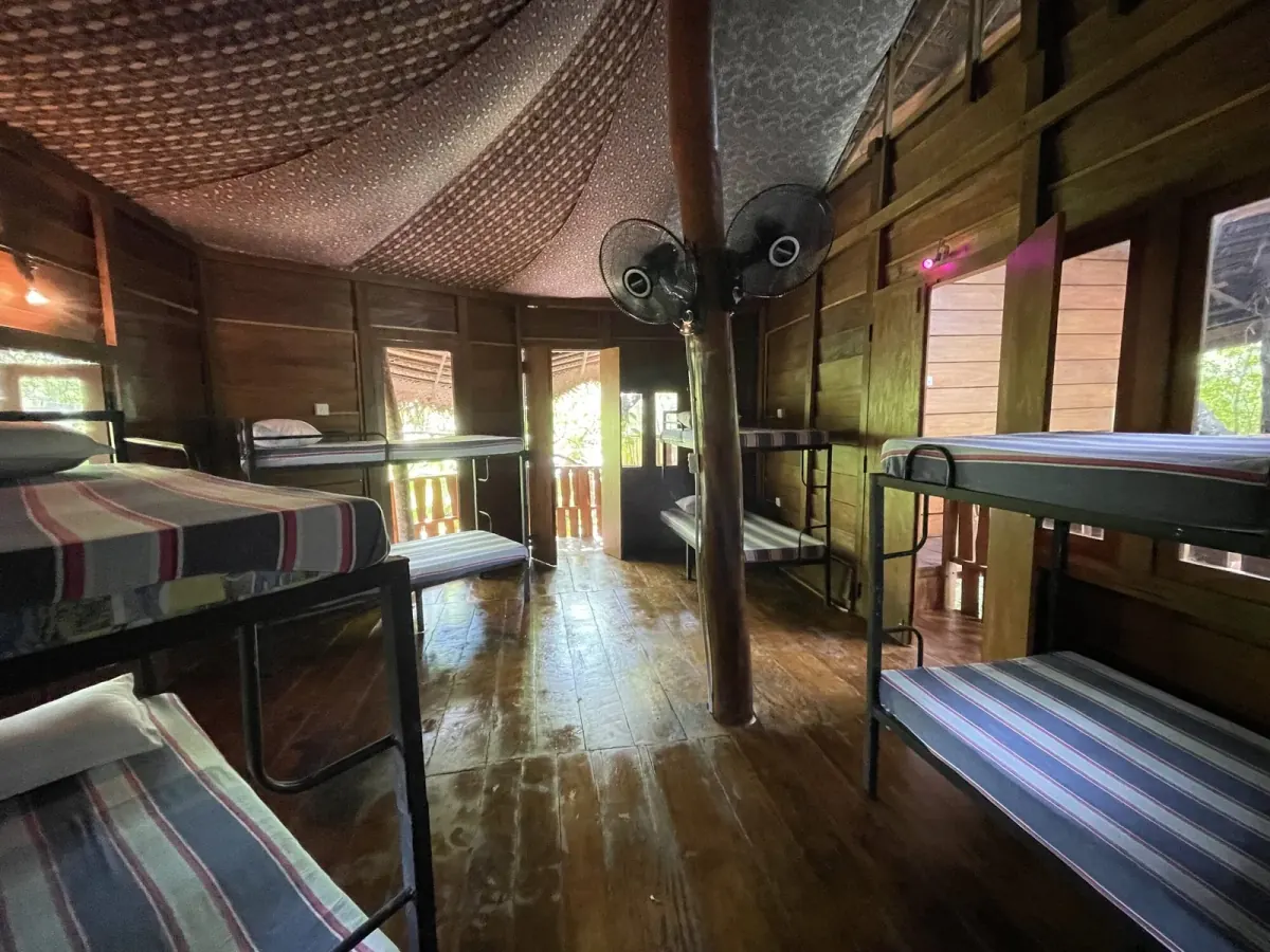 Shared dorm room thumbnail 2